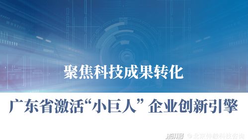 仲毅咨詢 聚焦科技成果轉化，激活廣東中小企業創新引擎