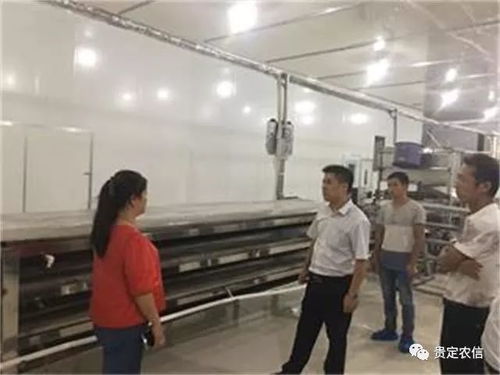 北京貴州米粉廠里的“金融夜?！?一碗粉背后的社會(huì)經(jīng)濟(jì)咨詢服務(wù)