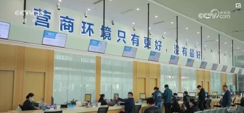 數字服務三連擊 便民暖心、助企惠企，共筑經濟發展新引擎